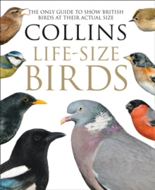 Collins Life-Size Birds: The Only Guide to Show British Birds at their Actual Size - Paul Sterry; Rob Read (Hardback) 22-09-2016 