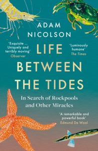 The Sea is Not Made of Water: Life Between the Tides - Adam Nicolson (Paperback) 23-06-2022 