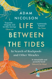 The Sea is Not Made of Water: Life Between the Tides - Adam Nicolson (Paperback) 23-06-2022 