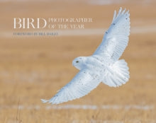 Bird Photographer of the Year  Bird Photographer of the Year: Collection 6 (Bird Photographer of the Year) - Bird Photographer of the Year (Hardback) 16-09-2021 