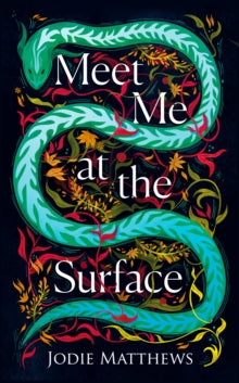 Meet Me at the Surface - Jodie Matthews (Hardback) 15-02-2024 