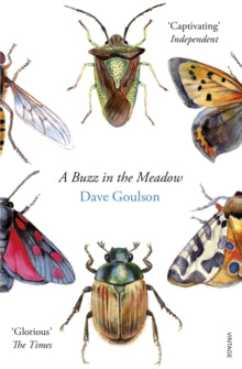 A Buzz in the Meadow - Dave Goulson (Paperback) 23-04-2015 