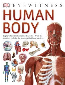 DK Eyewitness  Human Body - DK (Paperback) 03-11-2014 