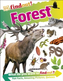 DKfindout!  DKfindout! Forest - DK (Paperback) 06-07-2017 