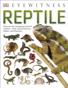 DK Eyewitness  Reptile - DK (Paperback) 01-06-2017 