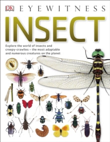 DK Eyewitness  Insect: Explore the world of insects and creepy-crawlies - the most adaptable and numerous creatures on the planet - DK (Paperback) 01-06-2017 