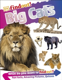 DKfindout!  DKfindout! Big Cats - DK (Paperback) 07-02-2019 