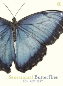 Sensational Butterflies - Ben Rothery (Hardback) 07-02-2019 