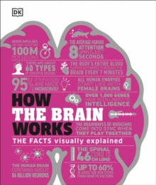 How the Brain Works: The Facts Visually Explained - DK (Hardback) 05-03-2020 