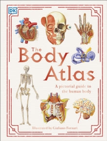 The Body Atlas: A Pictorial Guide to the Human Body - DK; Giuliano Fornarni (Hardback) 03-09-2020 