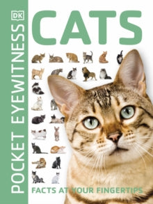 Pocket Eyewitness  Cats: Facts at Your Fingertips - DK (Paperback) 02-01-2020 