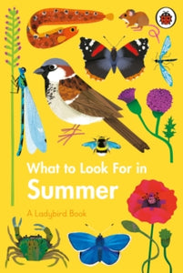 A Ladybird Book  What to Look For in Summer - Elizabeth Jenner; Natasha Durley (Hardback) 21-01-2021 