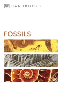 DK Handbooks  Fossils - DK; David Ward (Paperback) 07-10-2021 