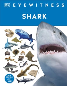 DK Eyewitness  Shark - DK (Hardback) 04-08-2022 