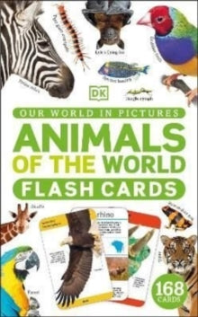 Our World in Pictures Animals of the World Flash Cards - DK (Cards) 05-05-2022 