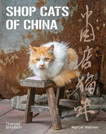 Shop Cats of China - Marcel Heijnen; Catharine Nicol; Ian Row (Paperback) 16-09-2021 