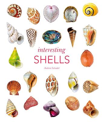 Interesting Shells - Andreia Salvador (Hardback) 24-02-2022