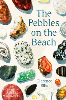 The Pebbles on the Beach - Clarence Ellis (Paperback) 02-08-2018 
