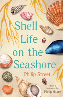 Shell Life on the Seashore - Philip Street (Paperback) 01-08-2019 
