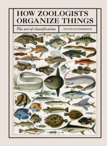How Zoologists Organize Things: The Art of Classification - David Bainbridge (Hardback) 01-09-2020 