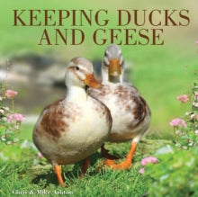 Keeping Ducks and Geese - Chris and Mike Ashton; Mike Ashton (Paperback) 30-May-09 