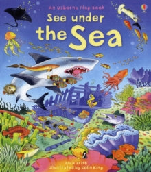 See Inside  See Under the Sea - Kate Davies; Colin King (Board book) 28-11-2008 