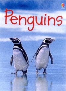 Beginners  Penguins - Emily Bone; Jenny Cooper; Tim Haggerty (Hardback) 28-08-2009 