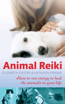 Animal Reiki: How to use energy to heal the animals in your life - Elizabeth Fulton; Kathleen Prasad (Paperback) 01-07-2010 