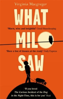 What Milo Saw: He sees the world in a very special way . . . - Virginia Macgregor (Paperback) 13-08-2015 