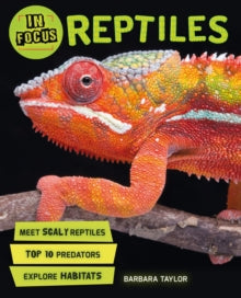 In Focus  In Focus: Reptiles - Barbara Taylor (Paperback) 21-09-2017 