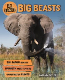 In Focus  In Focus: Big Beasts - Barbara Taylor (Paperback) 23-08-2018 