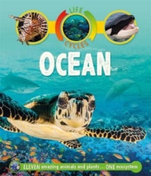 Life Cycles  Life Cycles: Ocean - Sean Callery (Paperback) 08-02-2018 