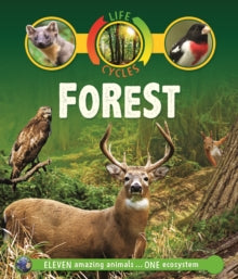 Life Cycles  Life Cycles: Forest - Sean Callery (Paperback) 26-07-2018 