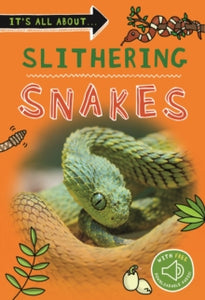 It's all about...  It's All About... Slithering Snakes - Kingfisher (Paperback) 19-08-2021 