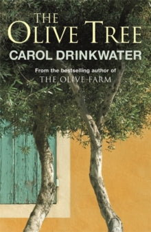 The Olive Tree of Provence - Carol Drinkwater (Paperback) 11-06-2009 