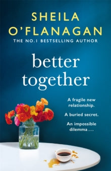 Better Together: 'Involving, intriguing and hugely enjoyable' - Sheila O'Flanagan (Paperback) 11-04-2013 