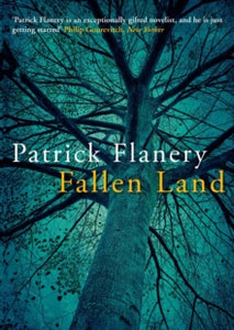 Fallen Land - Patrick Flanery  (Paperback) 06-02-2014 