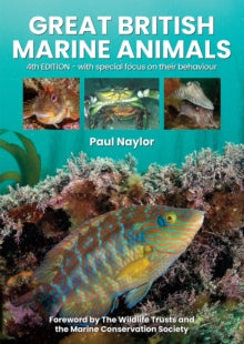 Great British Marine Animals - Paul Naylor (Paperback) 09-06-2021 
