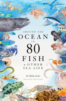 Around the Ocean in 80 Fish and other Sea Life - Helen Scales; Marcel George (Hardback) 22-06-2023 
