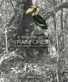Walker Studio  A Walk Through the Rainforest - Martin Jenkins; Vicky White (Hardback) 01-09-2022 