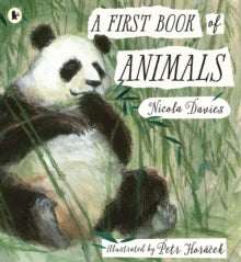 A First Book of Animals - Nicola Davies; Petr Horacek (Paperback) 02-05-2019 