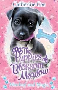 Puppies of Blossom Meadow  Mischief and Magic (Puppies of Blossom Meadow #2) - Catherine Coe (Paperback) 02-09-2021 