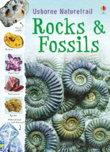 Naturetrail  Rocks and Fossils - Struan Reid; Struan Reid (Paperback) 01-12-2010 