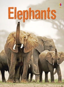 Beginners  Elephants - James Maclaine; John Francis (Hardback) 01-07-2011 