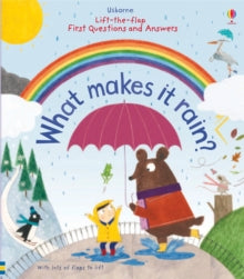 First Questions & Answers  First Questions and Answers: What makes it rain? - Katie Daynes; Katie Daynes; Christine Pym (Board book) 01-11-2015 