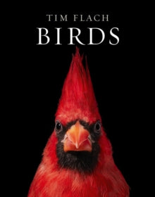 Birds - Tim Flach; Richard Prum (Hardback) 11-11-2021 