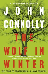 Charlie Parker Thriller  The Wolf in Winter: A Charlie Parker Thriller: 12 - John Connolly (Paperback) 01-01-2015 