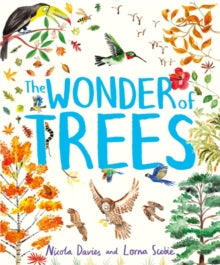 The Wonder of Trees - Nicola Davies; Lorna Scobie (Hardback) 07-03-2019 