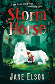 Storm Horse - Jane Elson (Paperback) 05-08-2021 