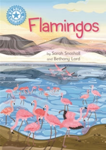 Reading Champion  Reading Champion: Flamingos: Independent Reading Non-Fiction Blue 4 - Sarah Snashall; Bethany Lord (Hardback) 24-03-2022 